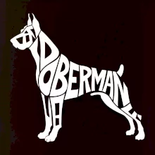 Doberman - nápis v tele