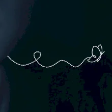 Dráha letu motýľa - vlnovka Dráha letu motýľa - vlnovka