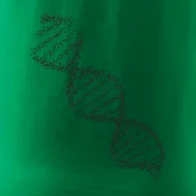 DNA čiernobiele DNA čiernobiele