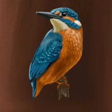 Ľadnáčik kreslený