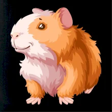 Morča - kreslené, bielo oranžové