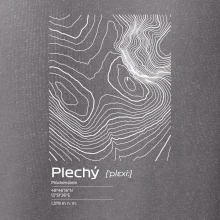 Plechý - vrstevnice v obdĺžniku