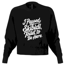 I Paused My Skibidi Toilet to be Here