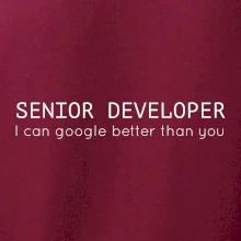 Senior developer google better than you