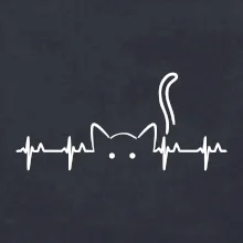 Mačka EKG