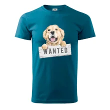 Zlatý retriever - šteniatko wanted