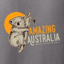 Amazing Australia koala