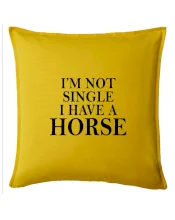 I have a horse I have a horse