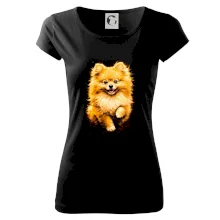 Obrázok poltón Pomoranský špic