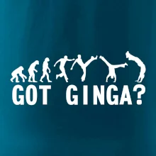 Capoeira - Got Ginga