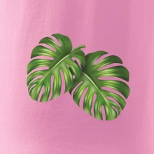 Monstera - dva listy Monstera - dva listy