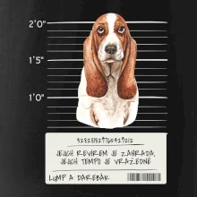 Baset - lump a darebák   Baset - lump a darebák