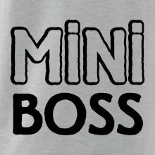 Big boss mini boss