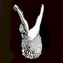 Krokodíl kreslený  (Pecka design)