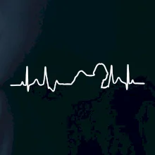 Shih-tzu ekg obrys Shih-tzu ekg obrys