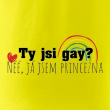 Gay princezna