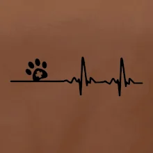 Veterinár EKG