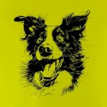 Čiernobiela karikatúra Border kólia