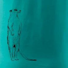 Surikata čierna kresba