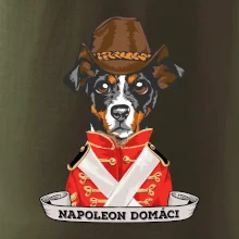 Napoleon domáci kríženec