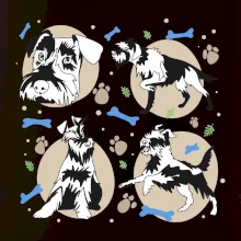 Bradáč - 4 obrázky