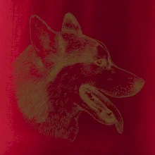 Husky - hlava z boku