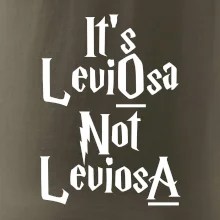 Leviosa not Levjosa