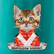 Napoleon domáci mačka