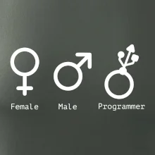 Female male programmer