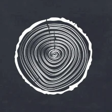 Letokruhy 20 bez veku