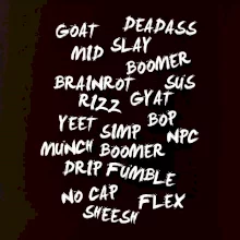 Generácia Z - Gén Z slovník