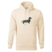 Jazvečík - Dachshund