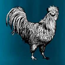 Kohút kreslený čiernobiely