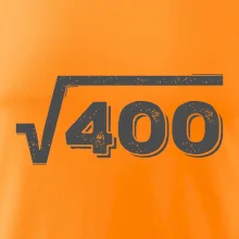 Narodeniny odmocniny 20