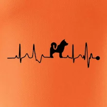 Shiba-Inu EKG Shiba-Inu EKG