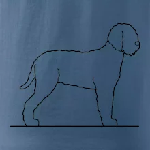 Lagotto romagnolo stojaci