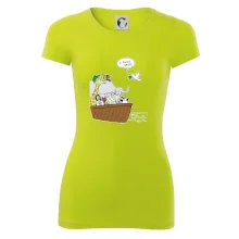 Pravda s Noemovou archou