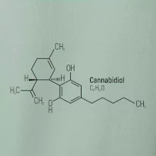 Molekulárna štruktúra CBD (Canabidiol)