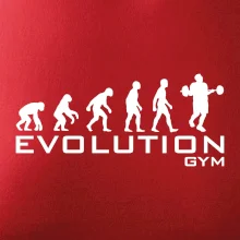 Evolúcia Gym