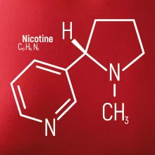Molekulárna štruktúra Nikotín