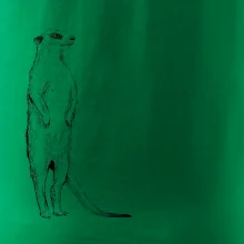 Surikata čierna kresba