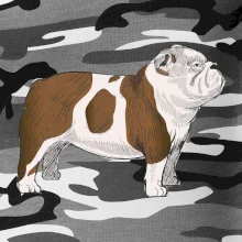 Vintage English bulldog