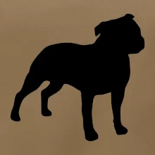 Americký stafordšírsky teriér Na prsníku