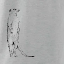 Surikata čierna kresba