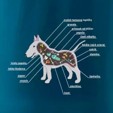 Tajomstvo bulteriéra s popisom (Pecka Design)