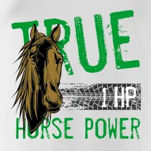True Horse Power 1 HP True Horse Power 1 HP