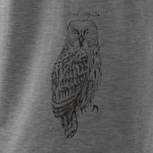 Sova bradatá Barred owl