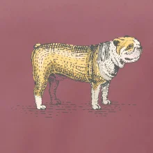 Vintage bulldog