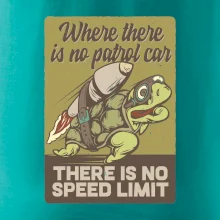 Korytnačka na cestách