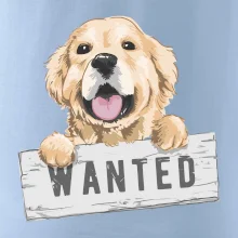 Zlatý retriever - šteniatko wanted